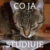 Co Ja studiuję? - wywiady o najpopularniejszych kierunkach studiów Co Ja studiuję? - wywiady o najpopularniejszych kierunkach studiów