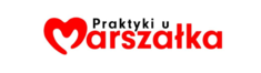 IX edycja „Praktyk u Marszałka”